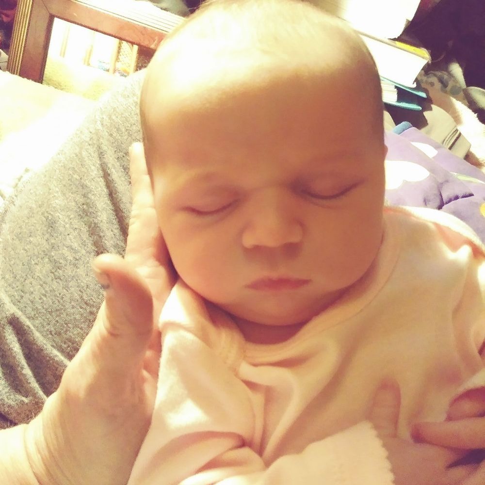 Meet your Posher, Holly